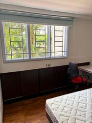 Blk 352 Clementi Avenue 2 Shopping Centre (Clementi), HDB 3 Rooms #523552611